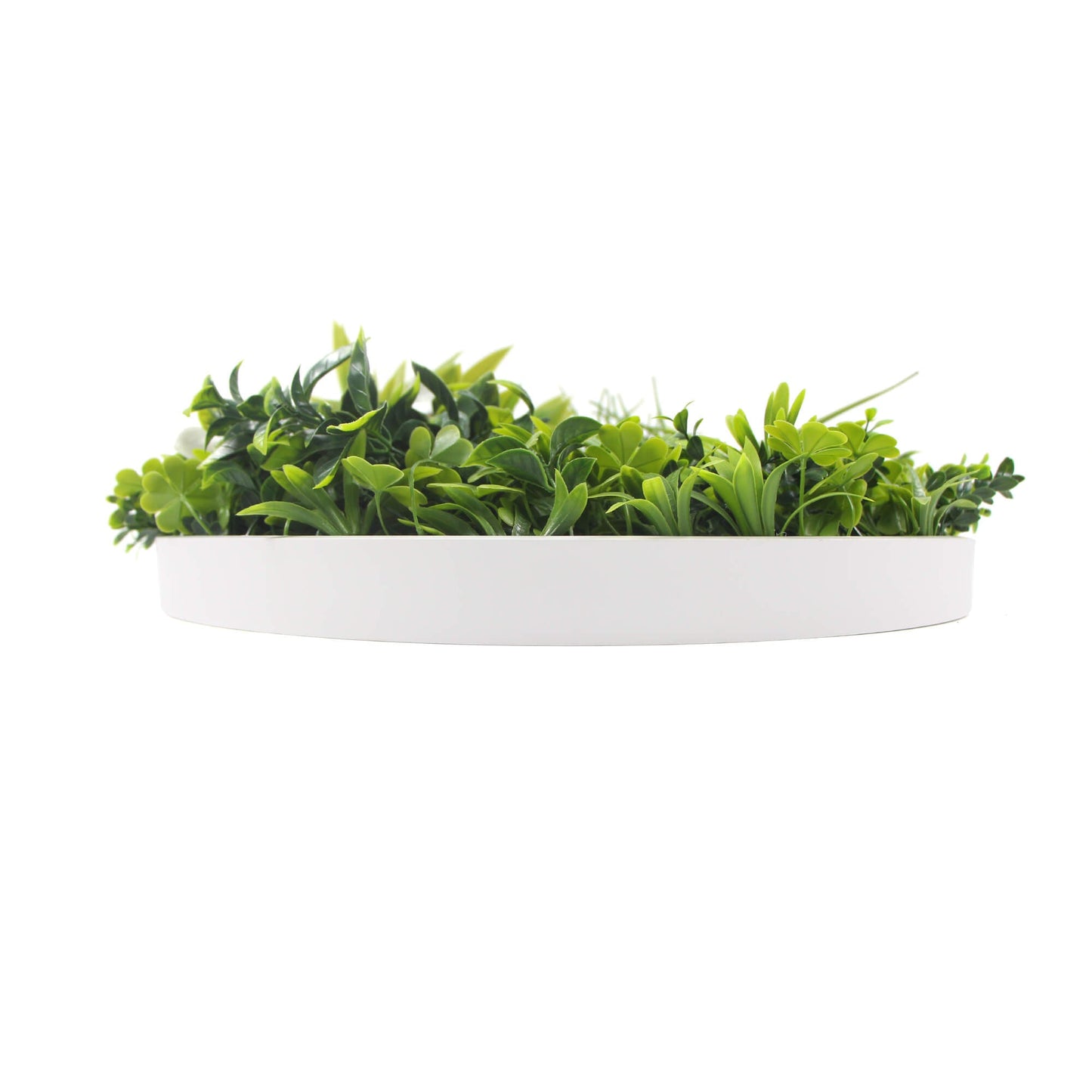 Slimline Flowering White Artificial Green Wall Disc UV Resistant 40" (White Frame Wall Art)-4