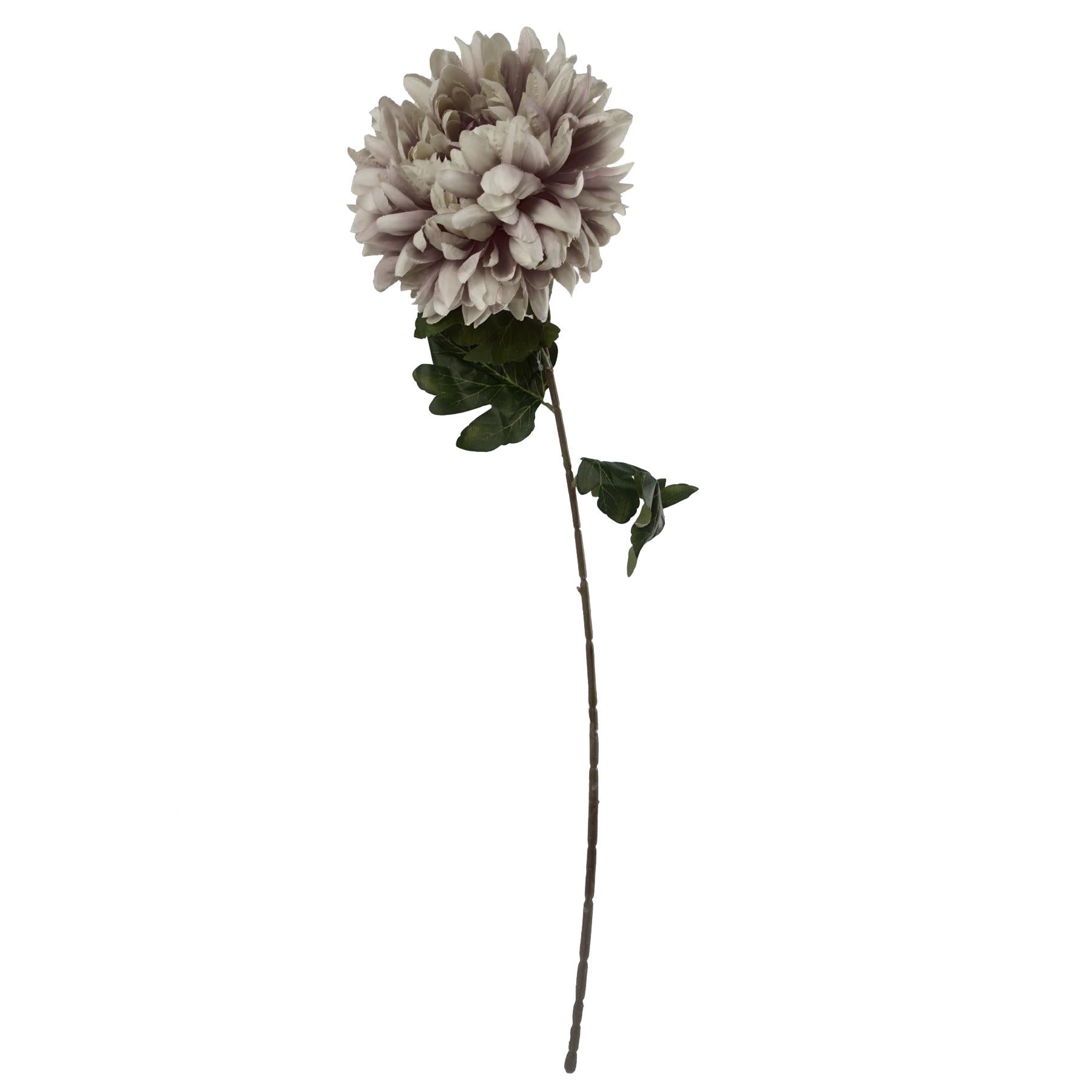 75cm Extra Large Reflex Chrysanthemum - Mushroom-2