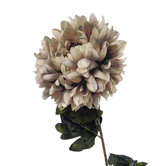 75cm Extra Large Reflex Chrysanthemum - Mushroom-0
