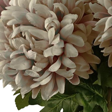 75cm Extra Large Reflex Chrysanthemum - Mushroom-1